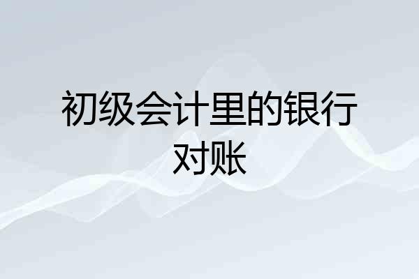 初级会计里的银行对账