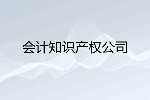 会计知识产权公司