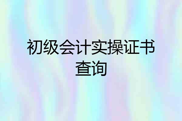 初级会计实操证书查询