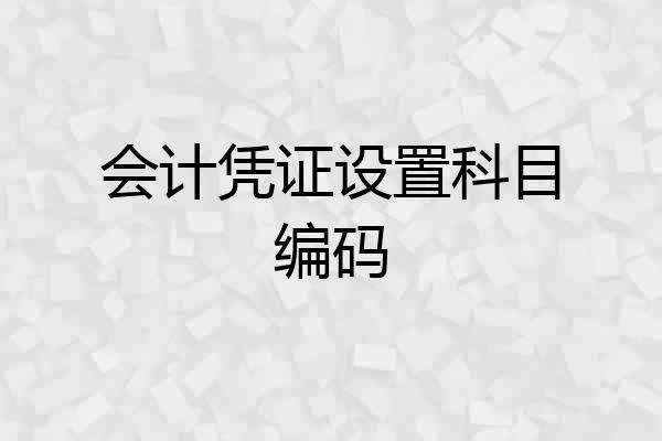 会计凭证设置科目编码