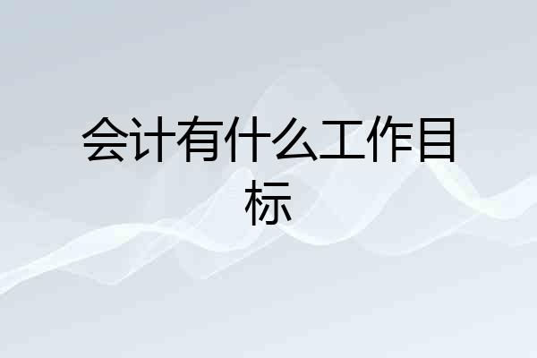 会计有什么工作目标