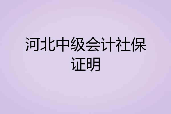 河北中级会计社保证明