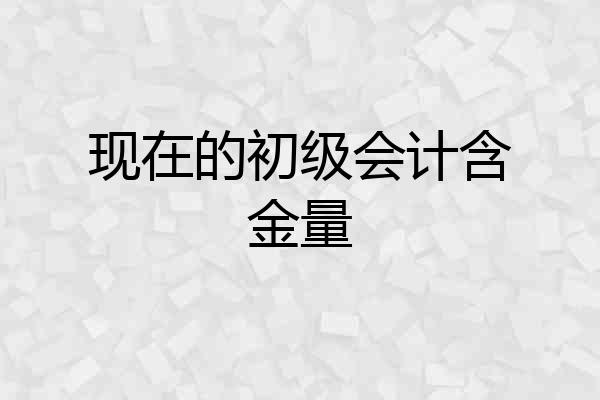 现在的初级会计含金量