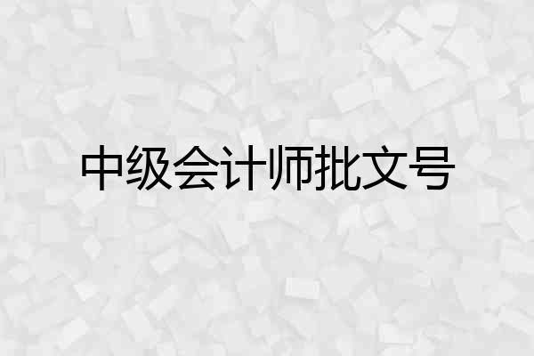 中级会计师批文号