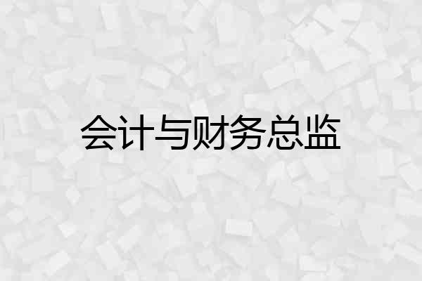 会计与财务总监