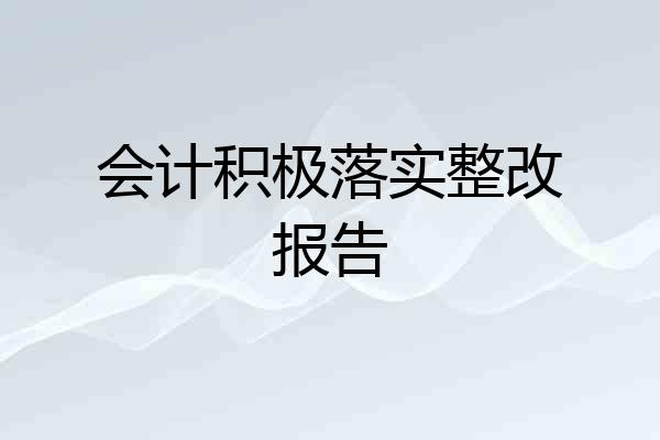 会计积极落实整改报告