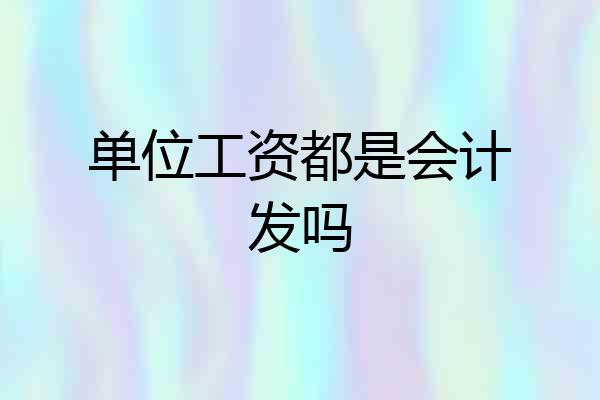 单位工资都是会计发吗