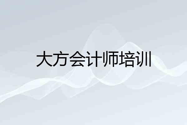 大方会计师培训