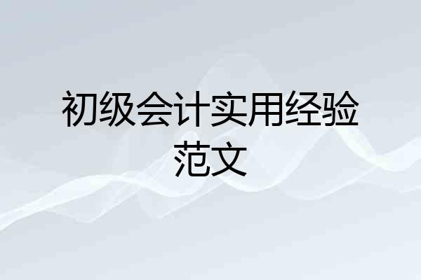 初级会计实用经验范文