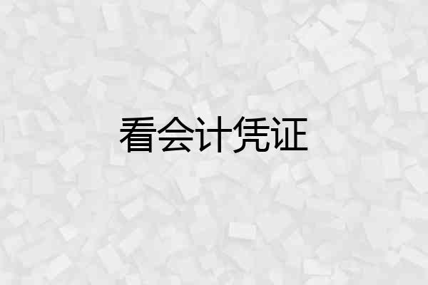 看会计凭证