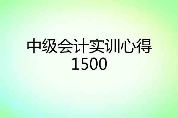 中级会计实训心得1500