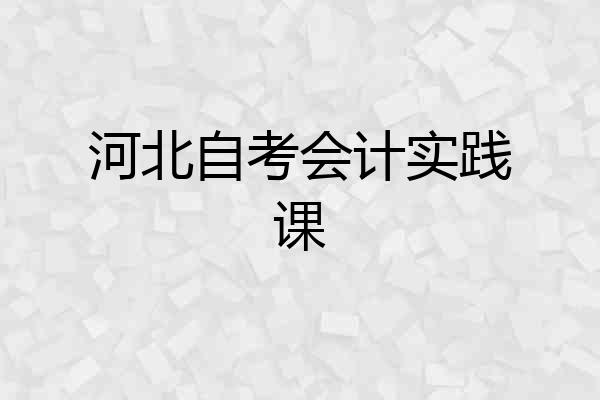 河北自考会计实践课