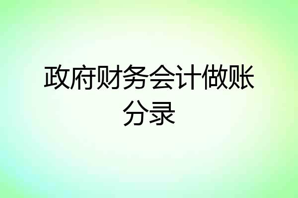 政府财务会计做账分录