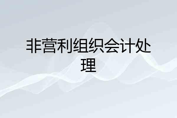 非营利组织会计处理
