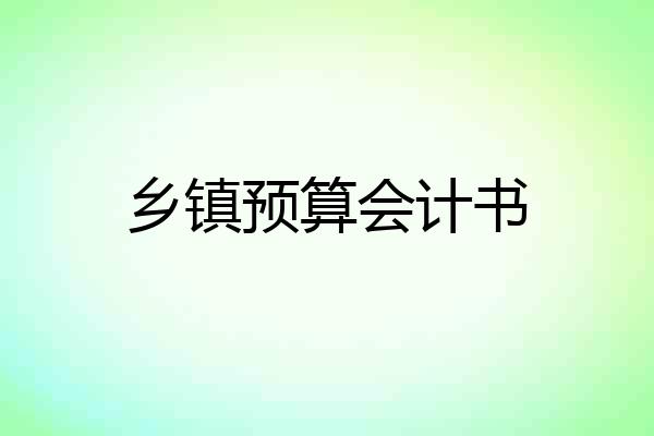 乡镇预算会计书