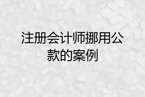 注册会计师挪用公款的案例