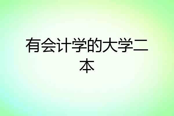 有会计学的大学二本