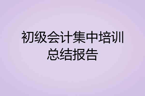 初级会计集中培训总结报告