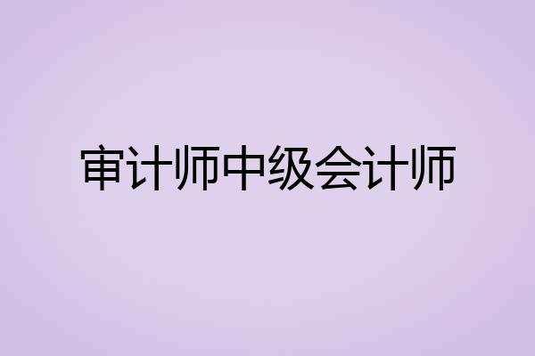 审计师中级会计师