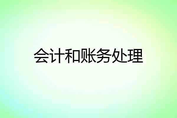 会计和账务处理