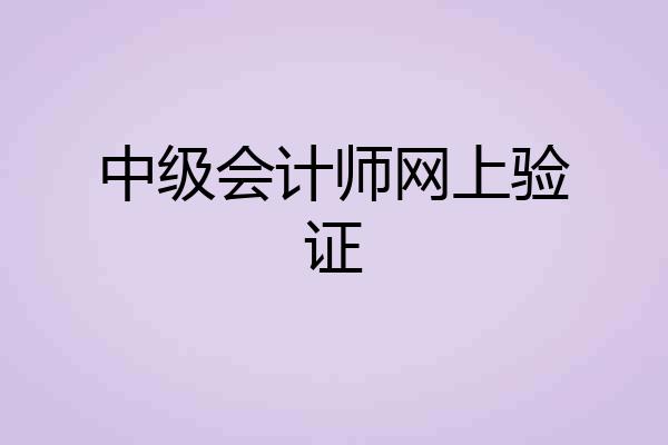 中级会计师网上验证