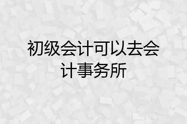初级会计可以去会计事务所
