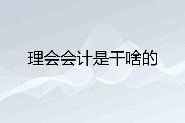 理会会计是干啥的