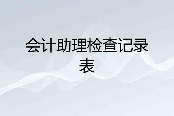会计助理检查记录表