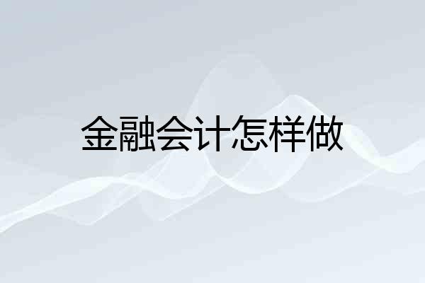 金融会计怎样做