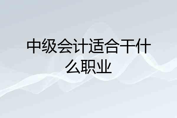 中级会计适合干什么职业