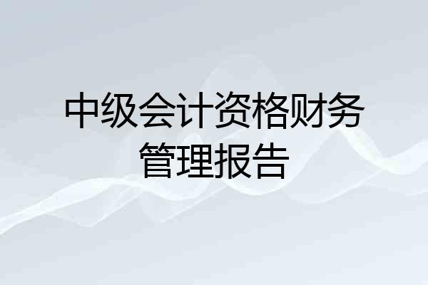 中级会计资格财务管理报告