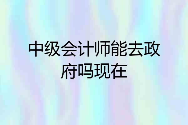 中级会计师能去政府吗现在