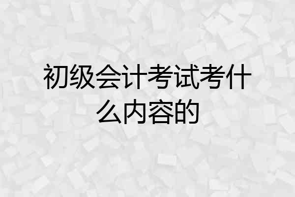 初级会计考试考什么内容的