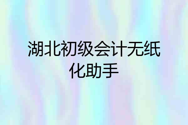 湖北初级会计无纸化助手