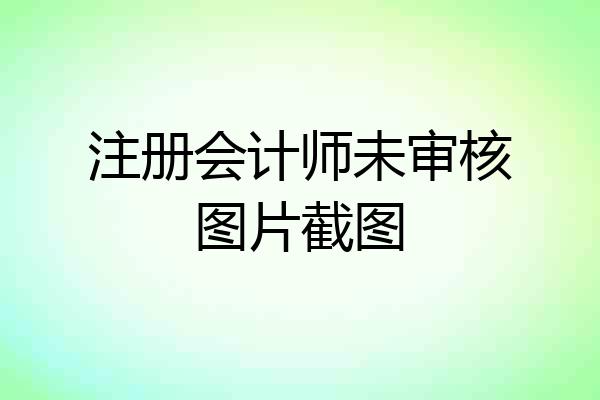 注册会计师未审核图片截图