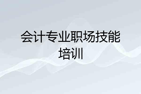 会计专业职场技能培训
