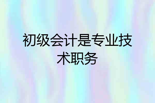 初级会计是专业技术职务