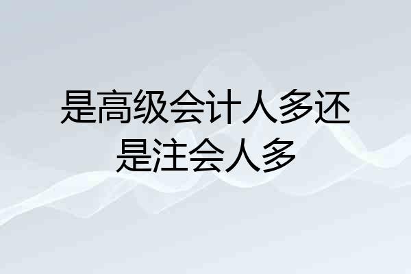 是高级会计人多还是注会人多