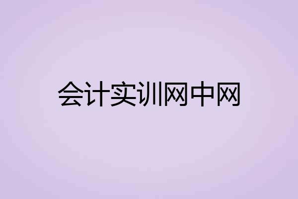 会计实训网中网