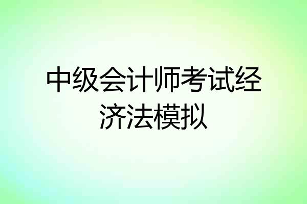 中级会计师考试经济法模拟