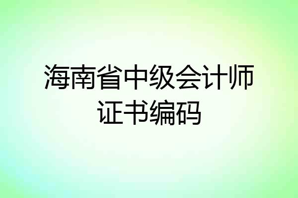 海南省中级会计师证书编码