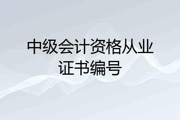 中级会计资格从业证书编号