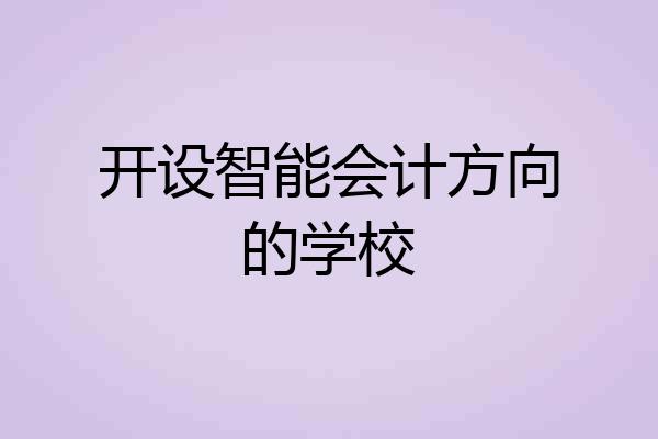 开设智能会计方向的学校