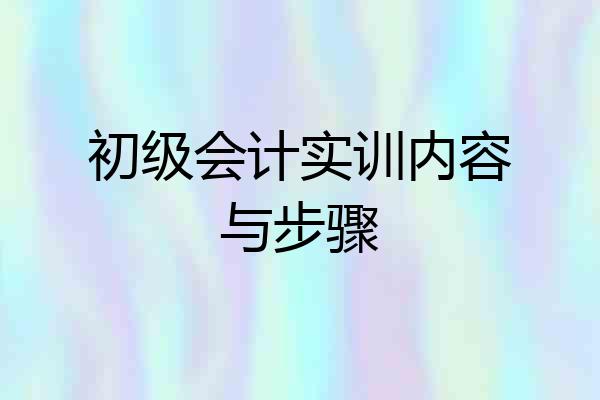 初级会计实训内容与步骤