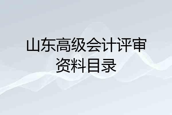 山东高级会计评审资料目录
