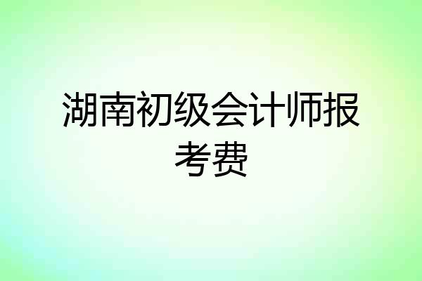 湖南初级会计师报考费
