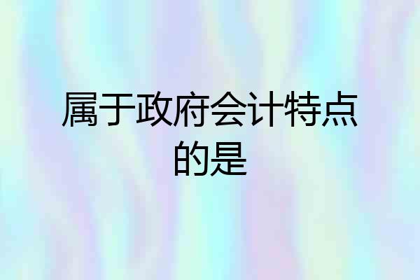 属于政府会计特点的是