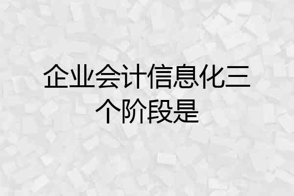 企业会计信息化三个阶段是