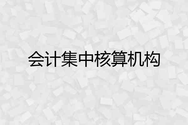 会计集中核算机构