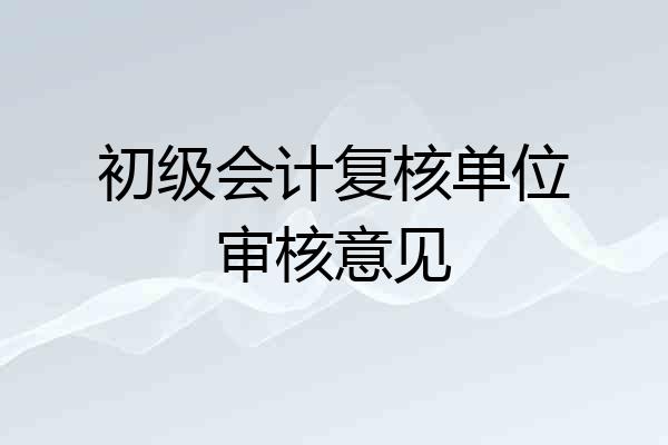 初级会计复核单位审核意见